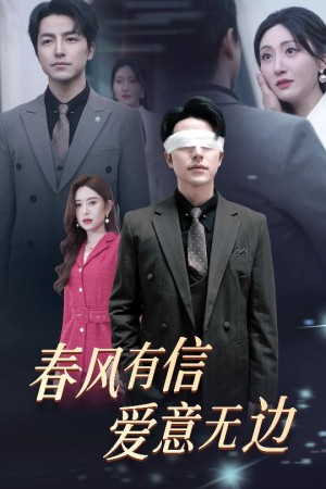 春风有信爱意无边（失明之后爱意尽毁）（30集）桉淇