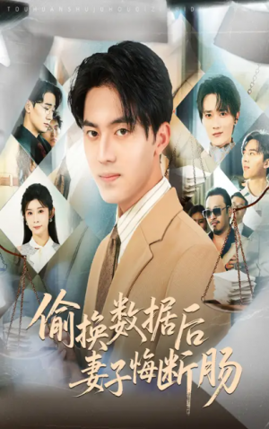 偷换数据后妻子悔断肠（63集）王言睿&吴帆